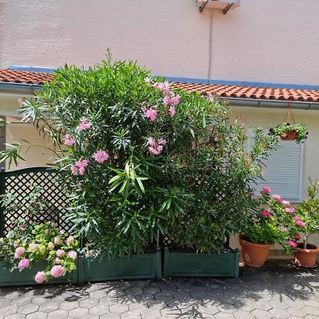 Apartments Zoretic Malinska Εξωτερικό φωτογραφία